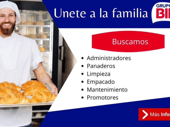 Grupo Bimbo empresa líder busca nuevos candidatos